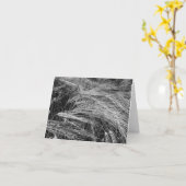 Carte Oreilles d'orge mûre (Hordeum vulgare) (Fleur jaune)