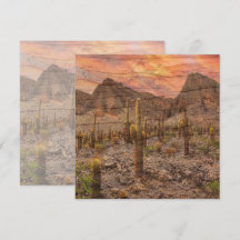 Organ Pipe Cactus On Wood Grain Sunset Photo