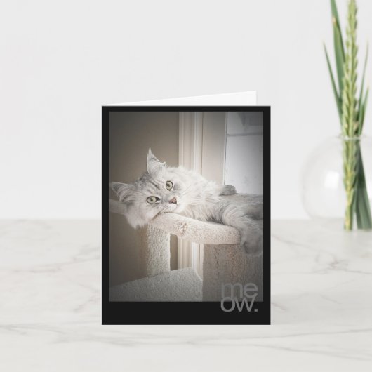 Carte originale d'anniversaire de Meow traduite (Devant)