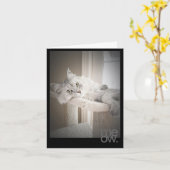 Carte originale d'anniversaire de Meow traduite (Fleur jaune)