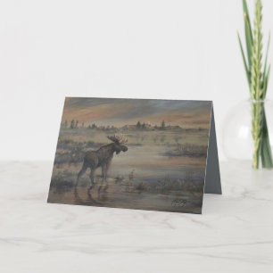 Carte Orignal Majestueux 13 x 18 cm