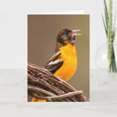 Carte Oriole du cancer de la viande (Devant)