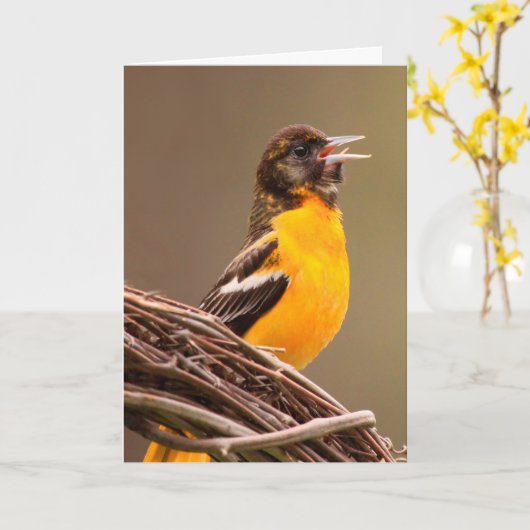 Carte Oriole du cancer de la viande (Fleur jaune)