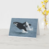 Carte Orka Whale (Fleur jaune)