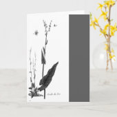 Carte Oseille de Prés (Fleur jaune)