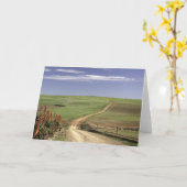 Carte Otaries florales près de Caledon, Western Cape (Fleur jaune)