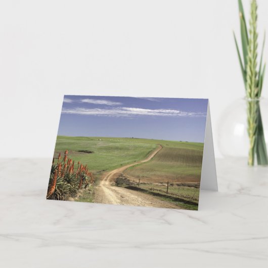 Carte Otaries florales près de Caledon, Western Cape (Devant)