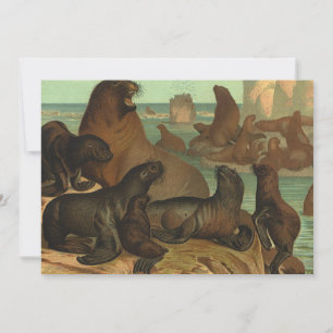 Carte Otaries sur la Plage, Animaux de la Vie Marine Vin