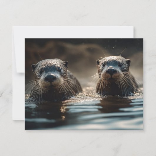 Carte Otter (Devant)