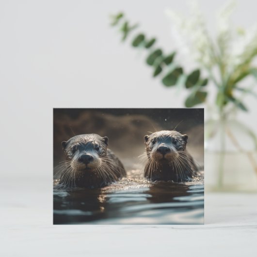 Carte Otter (Debout devant)