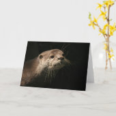 Carte Otter (Fleur jaune)