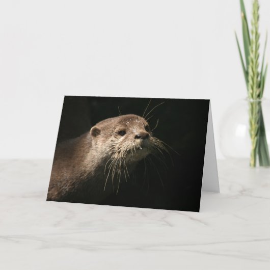 Carte Otter (Devant)