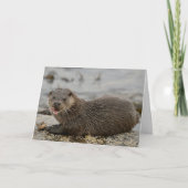 Carte Otter (Devant)