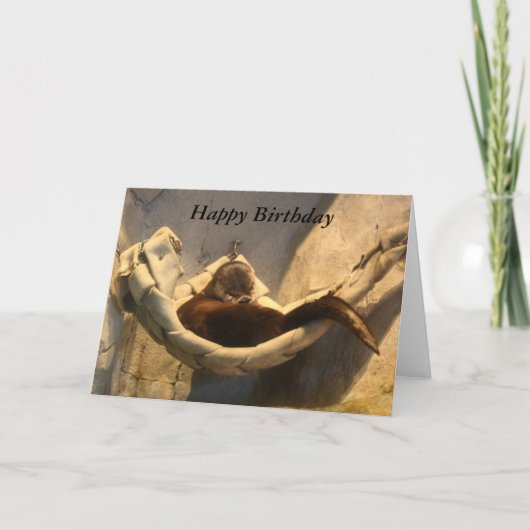 Carte Otter À Hammock (Devant)