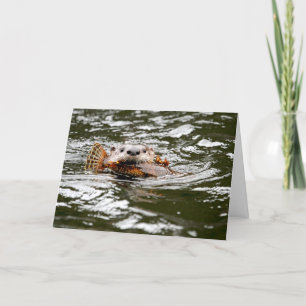 Carte Otter et poisson de rivière