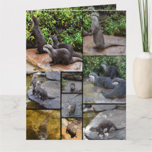 Carte Otter Photo Collage Jumbo Salutation