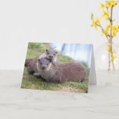 Carte Otterly (Fleur jaune)