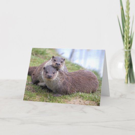 Carte Otterly (Devant)