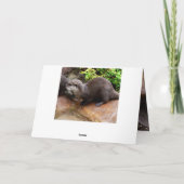 Carte Otterly Adorable Petit Otter gris, Joyeux Annivers (Dos)