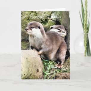 CARTE OTTERS