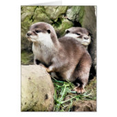 CARTE OTTERS (Devant)