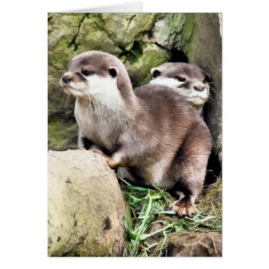 CARTE OTTERS (Devant)