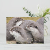 CARTE OTTERS COUPÉS (Debout devant)