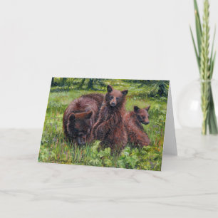 Carte "Où est Goldilocks?"