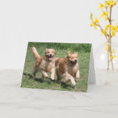 Carte Où est la fête ? Golden Retriever (Fleur jaune)