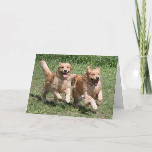 Carte Où est la fête ? Golden Retriever (Devant)