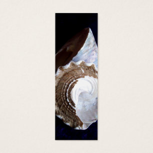 Carte ou signet de profil de coquilles