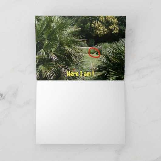 Carte Où suis-je ? (Intérieur)