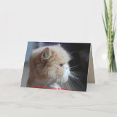 Carte Oublie ça humour de chat persan (Dos)