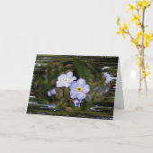 Carte Oublie-moi pas les fleurs (Fleur jaune)