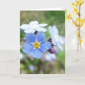 Carte Oublier-Moi-Pas (Fleur jaune)