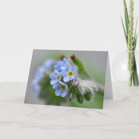 Carte Oubliez-moi pas les fleurs (Devant)