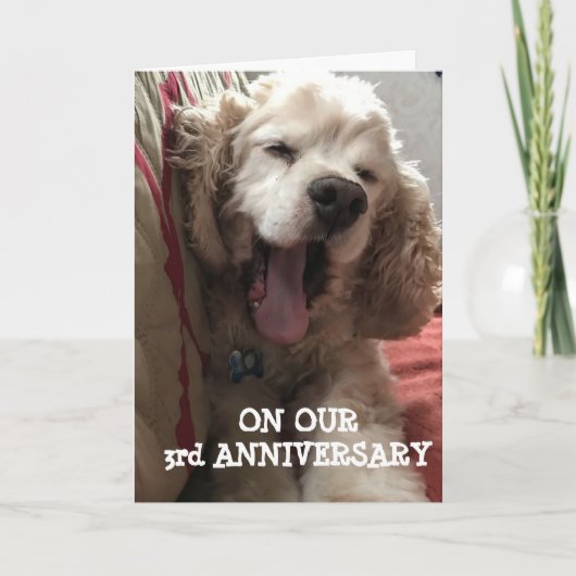 Carte **OUR 3rd ANNIVERSARY* FILLED WITH LOVE / FUN (Devant)