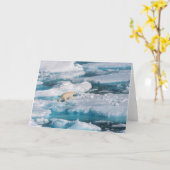 Carte Ours blanc marchant sur la mer (Fleur jaune)