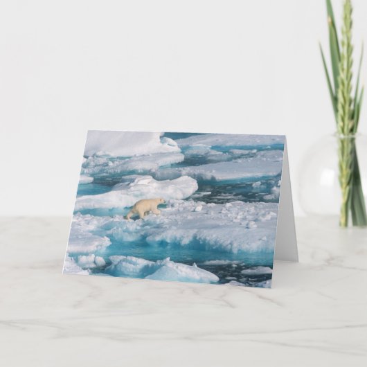 Carte Ours blanc marchant sur la mer (Devant)