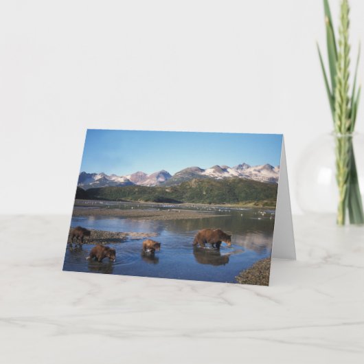 Carte ours Brown, grizzli, truie et oursons (Devant)