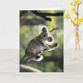 Carte Ours de koala (Fleur jaune)