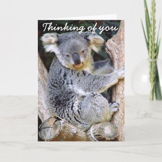 Carte Ours de koala Love_ (Devant)