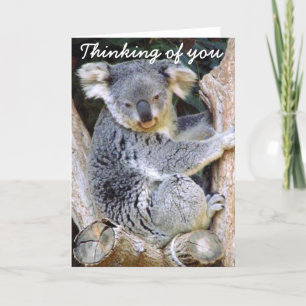 Carte Ours de koala Love_
