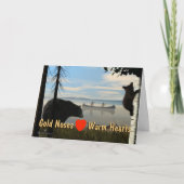 Carte Ours de plage (Devant)