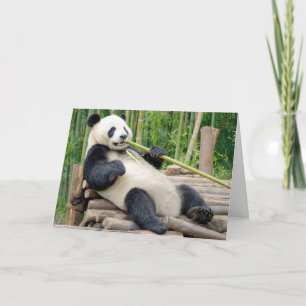 Carte Ours en peluche panda d'anniversaire mâchonnant un