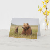 Carte Ours gris avec CUB (Fleur jaune)