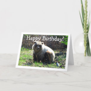 Carte Ours Grizzli CGB