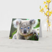 Carte Ours koalas (Fleur jaune)