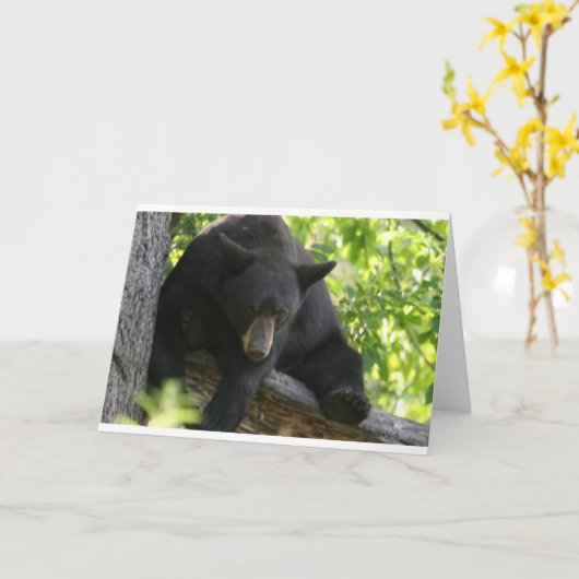 Carte ours noir (Fleur jaune)