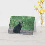 Carte ours noir (Fleur jaune)